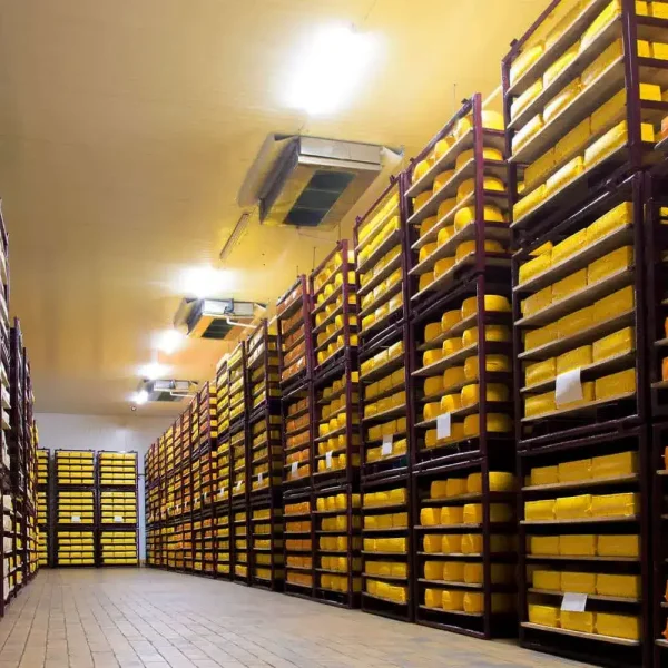 Cold Strage Room in dubai warehouse